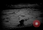 Image of dogs during war United States USA, 1943, second 31 stock footage video 65675077868