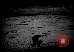 Image of dogs during war United States USA, 1943, second 32 stock footage video 65675077868