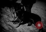 Image of dogs during war United States USA, 1943, second 33 stock footage video 65675077868