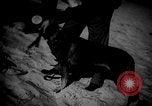 Image of dogs during war United States USA, 1943, second 37 stock footage video 65675077868