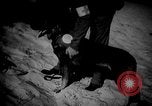 Image of dogs during war United States USA, 1943, second 38 stock footage video 65675077868
