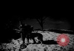 Image of dogs during war United States USA, 1943, second 40 stock footage video 65675077868