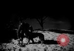 Image of dogs during war United States USA, 1943, second 41 stock footage video 65675077868