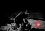 Image of dogs during war United States USA, 1943, second 43 stock footage video 65675077868
