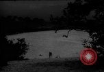 Image of dogs during war United States USA, 1943, second 46 stock footage video 65675077868