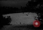 Image of dogs during war United States USA, 1943, second 47 stock footage video 65675077868