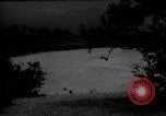 Image of dogs during war United States USA, 1943, second 48 stock footage video 65675077868