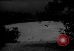 Image of dogs during war United States USA, 1943, second 50 stock footage video 65675077868