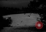 Image of dogs during war United States USA, 1943, second 51 stock footage video 65675077868