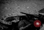 Image of dogs during war United States USA, 1943, second 55 stock footage video 65675077868