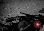 Image of dogs during war United States USA, 1943, second 56 stock footage video 65675077868