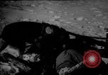 Image of dogs during war United States USA, 1943, second 59 stock footage video 65675077868