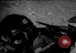 Image of dogs during war United States USA, 1943, second 60 stock footage video 65675077868
