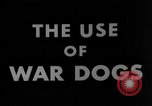 Image of training dogs United States USA, 1943, second 12 stock footage video 65675077871