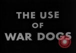 Image of training dogs United States USA, 1943, second 13 stock footage video 65675077871
