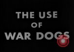 Image of training dogs United States USA, 1943, second 14 stock footage video 65675077871