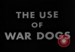 Image of training dogs United States USA, 1943, second 15 stock footage video 65675077871
