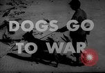 Image of training dogs United States USA, 1943, second 17 stock footage video 65675077871