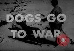 Image of training dogs United States USA, 1943, second 18 stock footage video 65675077871