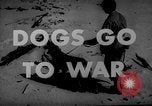 Image of training dogs United States USA, 1943, second 19 stock footage video 65675077871