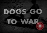 Image of training dogs United States USA, 1943, second 20 stock footage video 65675077871