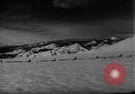 Image of training dogs United States USA, 1943, second 22 stock footage video 65675077871
