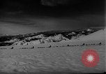 Image of training dogs United States USA, 1943, second 24 stock footage video 65675077871
