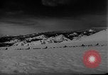 Image of training dogs United States USA, 1943, second 25 stock footage video 65675077871