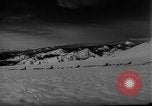 Image of training dogs United States USA, 1943, second 27 stock footage video 65675077871