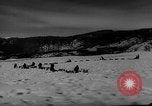 Image of training dogs United States USA, 1943, second 29 stock footage video 65675077871