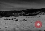 Image of training dogs United States USA, 1943, second 30 stock footage video 65675077871