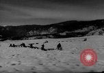 Image of training dogs United States USA, 1943, second 31 stock footage video 65675077871