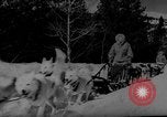 Image of training dogs United States USA, 1943, second 34 stock footage video 65675077871
