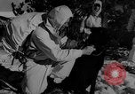 Image of training dogs United States USA, 1943, second 36 stock footage video 65675077871