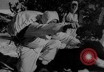 Image of training dogs United States USA, 1943, second 37 stock footage video 65675077871