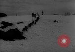 Image of training dogs United States USA, 1943, second 39 stock footage video 65675077871