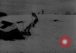 Image of training dogs United States USA, 1943, second 40 stock footage video 65675077871