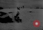 Image of training dogs United States USA, 1943, second 41 stock footage video 65675077871