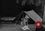 Image of training dogs United States USA, 1943, second 42 stock footage video 65675077871