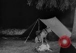 Image of training dogs United States USA, 1943, second 44 stock footage video 65675077871