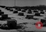Image of training dogs United States USA, 1943, second 46 stock footage video 65675077871