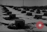 Image of training dogs United States USA, 1943, second 47 stock footage video 65675077871