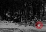 Image of training dogs United States USA, 1943, second 58 stock footage video 65675077871