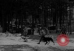 Image of training dogs United States USA, 1943, second 59 stock footage video 65675077871