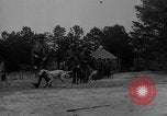 Image of training dogs United States USA, 1943, second 60 stock footage video 65675077871