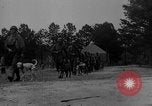Image of training dogs United States USA, 1943, second 61 stock footage video 65675077871
