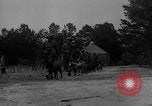 Image of training dogs United States USA, 1943, second 62 stock footage video 65675077871