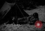 Image of dogs used for war United States USA, 1943, second 4 stock footage video 65675077872