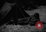 Image of dogs used for war United States USA, 1943, second 6 stock footage video 65675077872