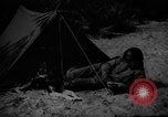 Image of dogs used for war United States USA, 1943, second 7 stock footage video 65675077872
